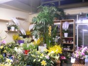 花キューピット商品の花 | 岩手県盛岡市の花屋