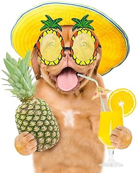 ジュースのような飲み心地 クリアホエイプロテインアイソレートNaturecan Fitness公式