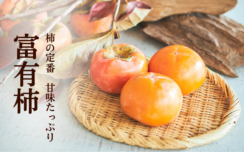 Amazon.co.jp: 柿の苗木さえふじ不完全甘柿 3年生接木1.1m大苗 : DIY・工具・ガーデン