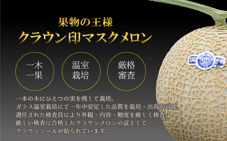 甘くて後味スッキリ 高級赤肉メロン スカーレット ジューシー 甘い 愛知県産 約4.0kg 3Lサイズ 2玉 秀品 地元応援丸進青果セレクトうさマートジャパンサービス株式会社の総合通販サイトうさマート