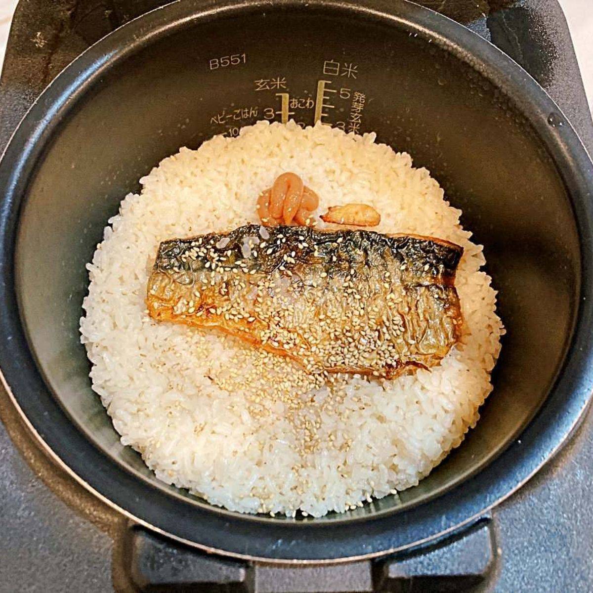 焼きさばと梅の炊き込みご飯 レシピ しらい のりこさん みんなのきょうの料理