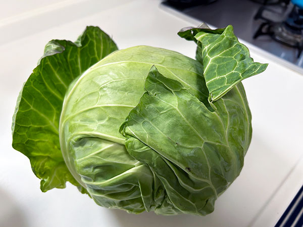 春キャベツと新玉ねぎの保存方法って知ってた!? 春キャベツは4つの部位に分けておくと便利！ - レタスクラブ