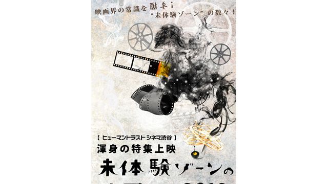 信州産 天然きのこ デカ【くりたけ】900g以上