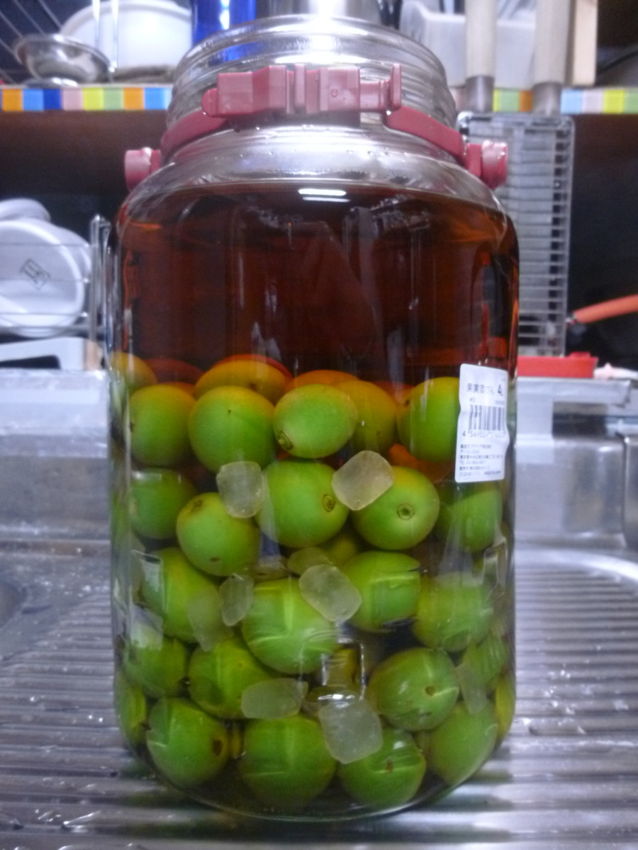 漬け込んだ「梅酒」の飲み頃は、どのタイミング? – ブログ菊正宗ネットショップ