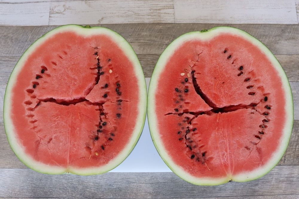 表面に種を出さない西瓜の切り方九州やさい日和 - 野菜と料理の研究家 永利裕子