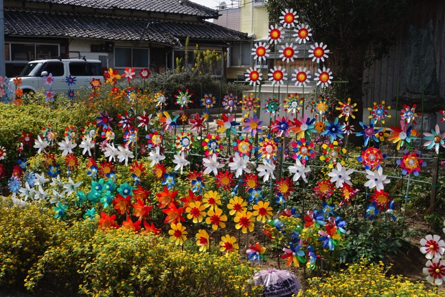 ペットボトルで「フラワーベース」を作りました！ ヒヤシンスの水耕栽培LEE