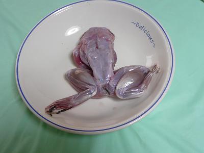 今度はロサンゼルスに「気持ち悪い食べ物博物館」 スウェーデンに続き2か所目 写真41枚 国際ニュース：AFPBB News