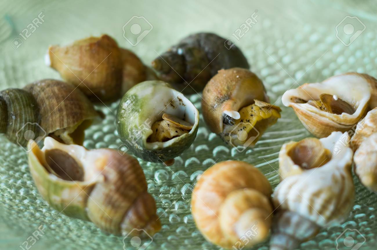 箱に小さな生きている食用エスカルゴ カタツムリ フランス料理の写真素材・画像素材 Image 79493004