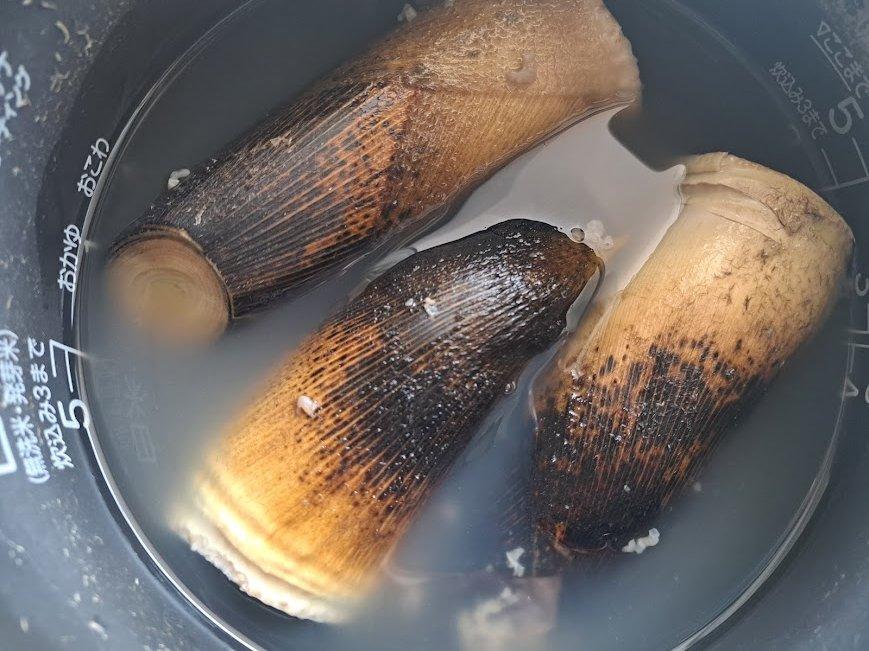 たけのこコンパクト皮むきとアク抜きは生米で - ウキウキ日和