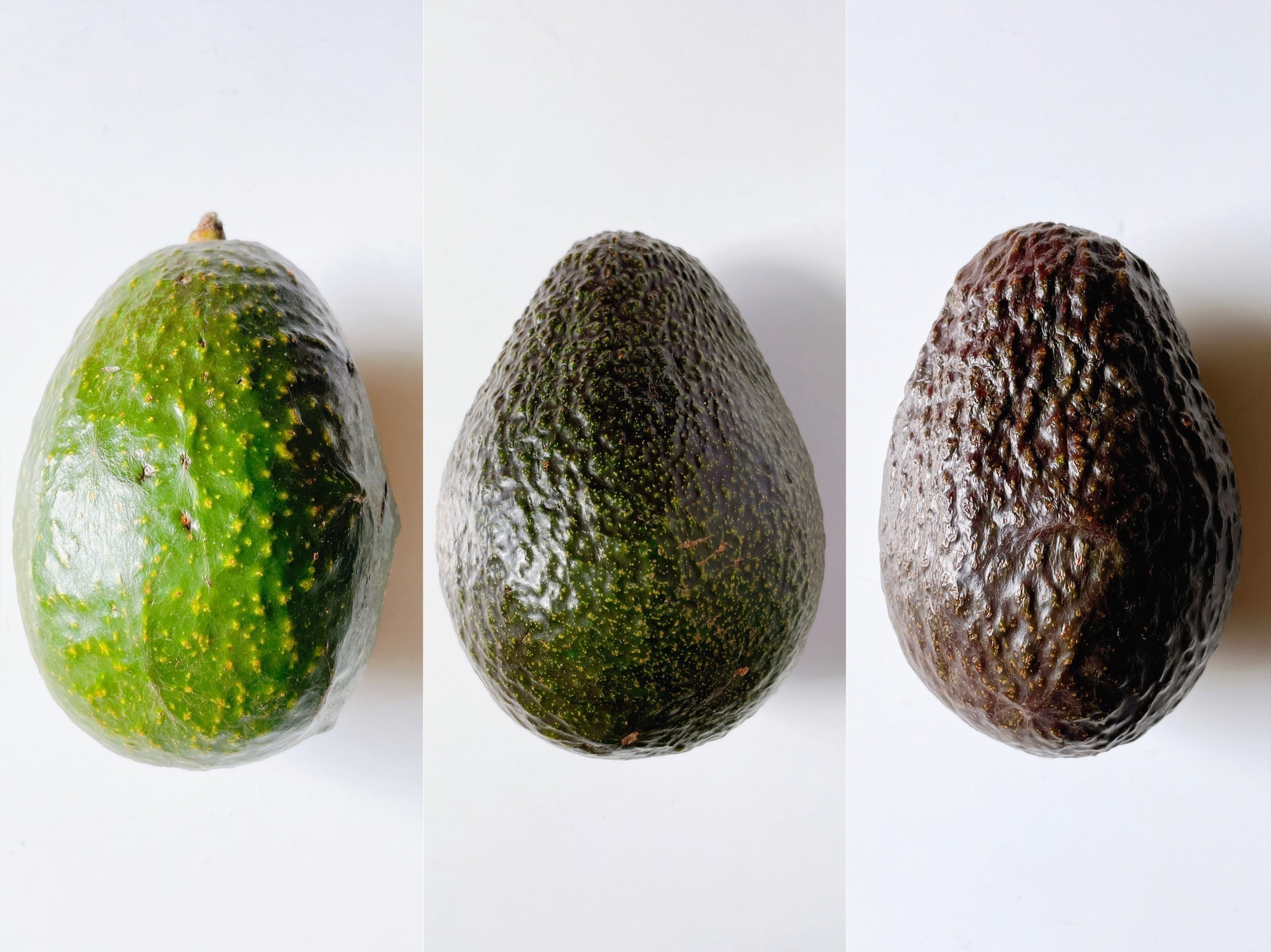 アボカドの選び方は“ヘタ”がカギ！失敗しない見分け方と保存のコツかていプラス