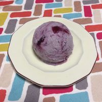 基本からアレンジまで！思わずつくりたくなる「ブルーベリーアイス 牛乳」のレシピ集クックパッド