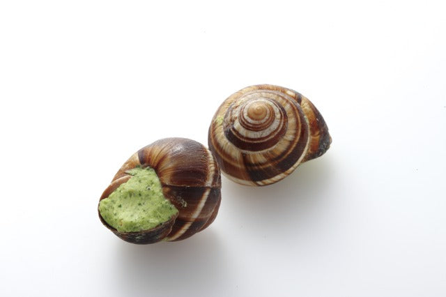 楽天市場フランス産 エスカルゴ 殻付き30粒大容量 オードブル 洋風 料理 冷凍 フレンチ ディナー ワイン ギフト プレゼント 贈り物グルメ BBQ バーベキュー パーティー お祝い インスタ escargot French ガーリックバター : グルメ大陸