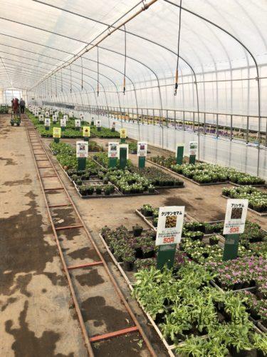 そらちの花＊通信 第41輪 そらちの生花店紹介 ～由仁町「花のまつうら」～そらち・デ・ビュー - 札幌から日帰りで楽しめる、北海道