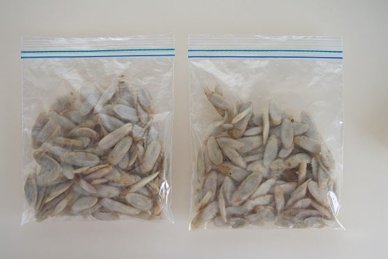 料理の基本！ ごぼうの冷凍保存方法