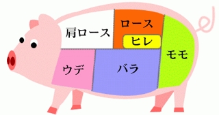 CAMPOFRIO SELECCION豚：部位ごとに見てみましょう