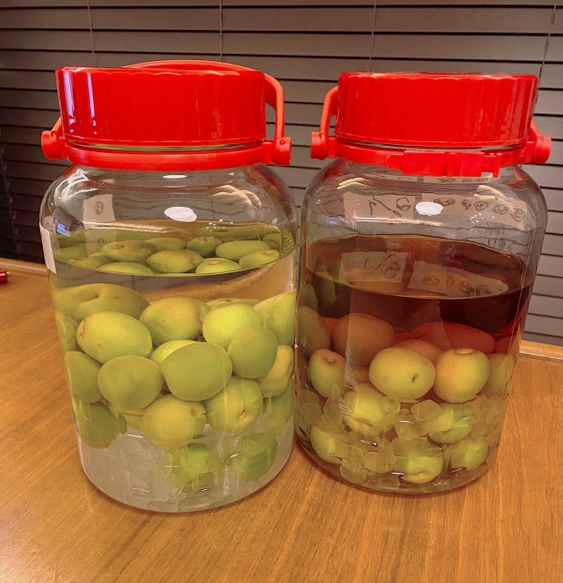 梅酒の梅は再利用しよう！取り出すタイミングやおすすめレシピをご紹介中田食品株式会社