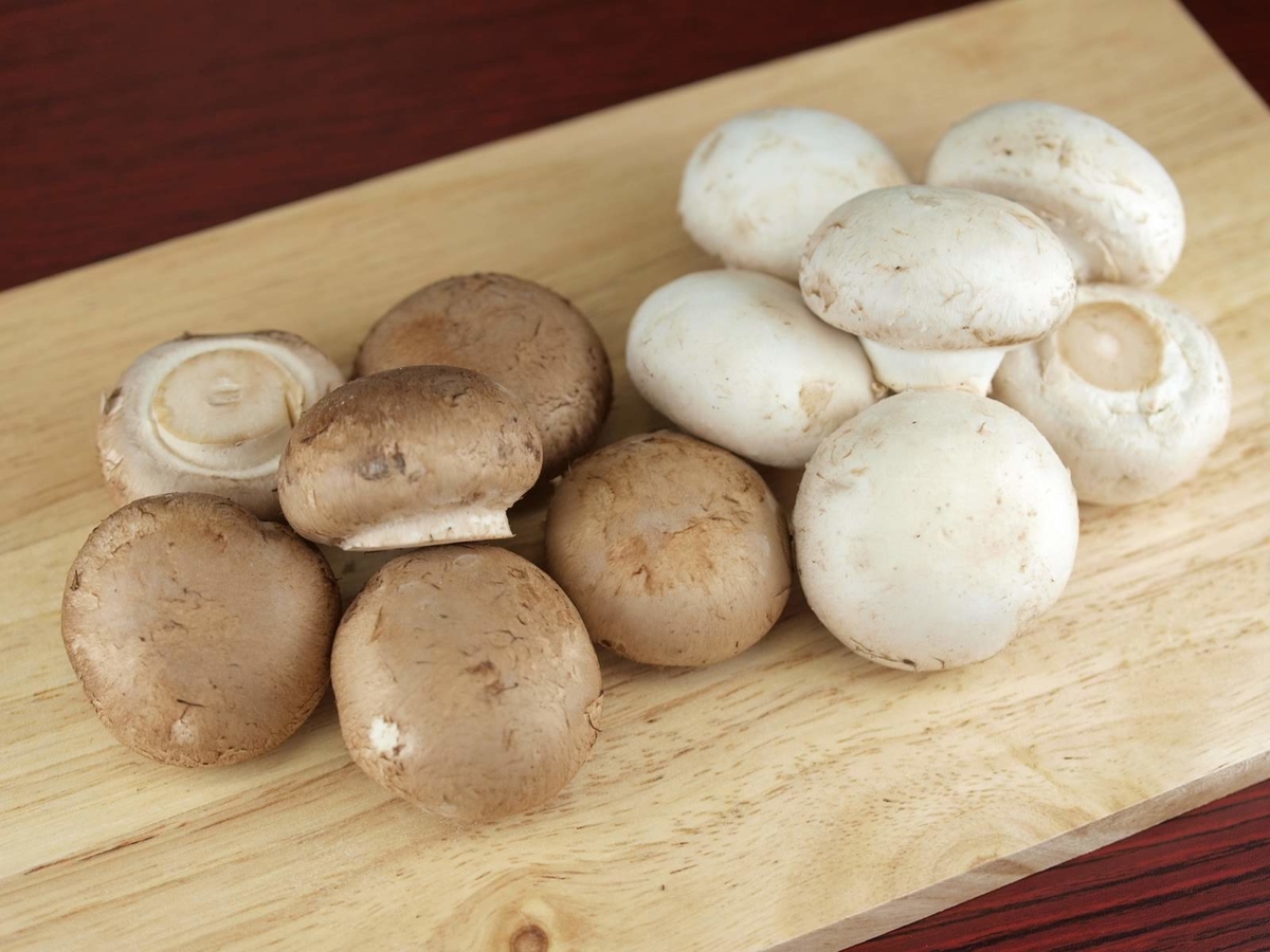 マッシュルームの簡単レシピ！人気のつくり方・メニューキッコーマンホームクッキング