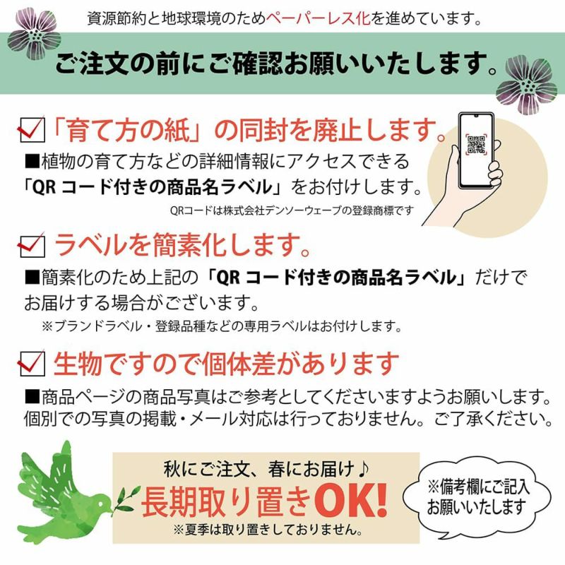 アスパラガスを長~くたくさん収穫する最強の育て方!失敗しない植え付け~収穫のコツ 初心者・プランター家庭菜園 庭なし家庭菜園!ポコずブログ