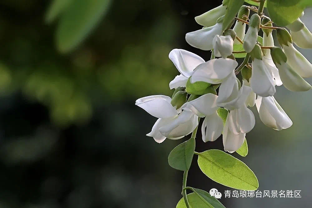 花食文化Only語学塾