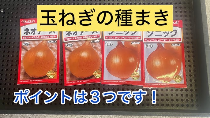 玉ねぎ・ネギ・にんにくの肥料 2kg1袋