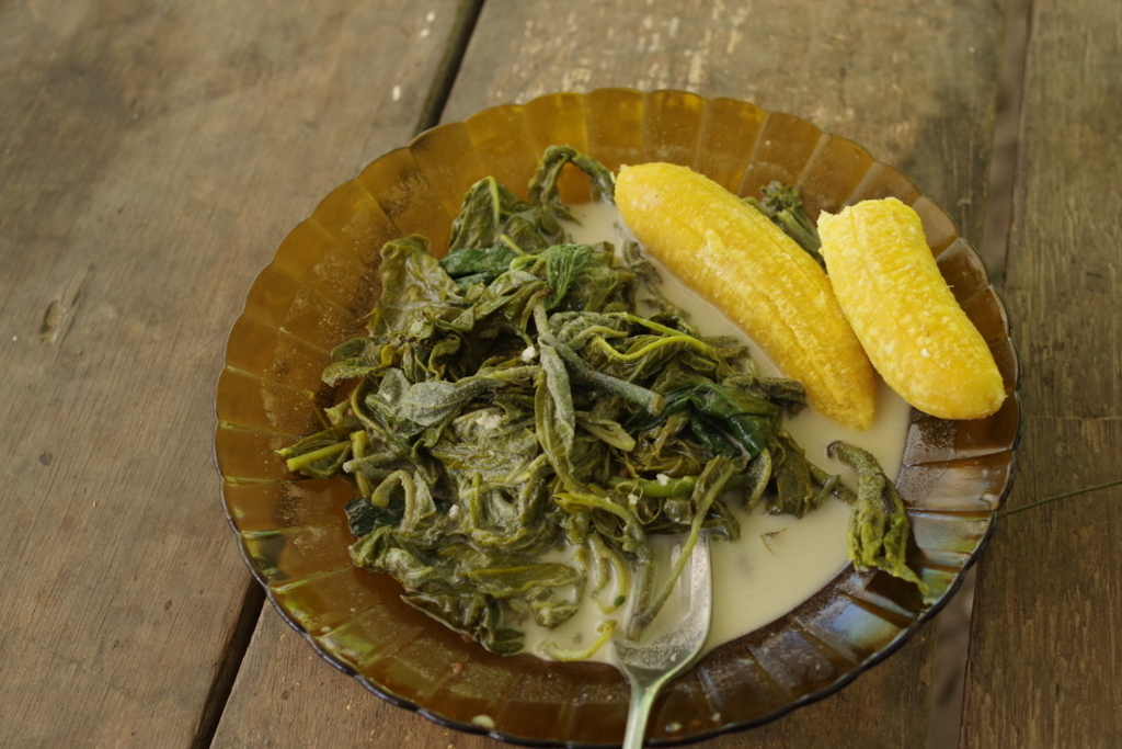 民族料理 Mumuと各国料理店南の国で燃え尽きることができるかも 村瀬 正則JICA海外協力隊の世界日記