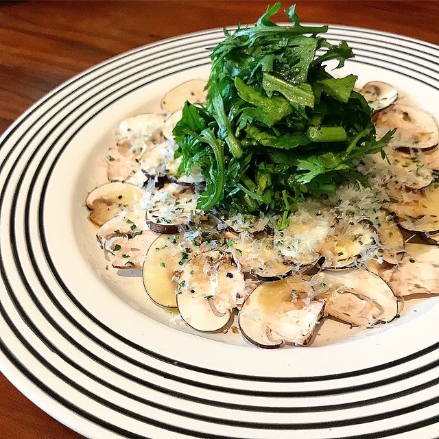 マッシュルームユキグニファクトリー株式会社キノコのチカラ、ミライのセカイ