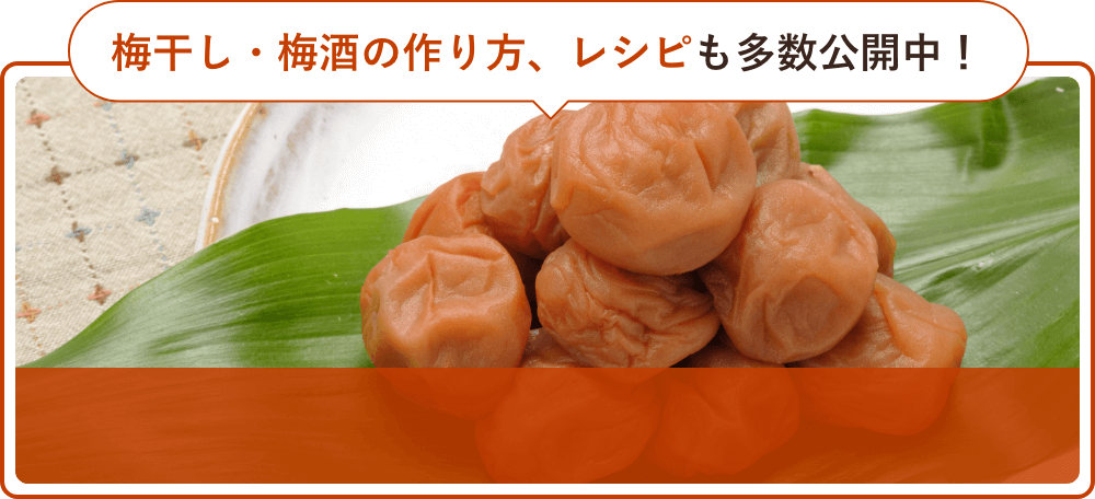 焼酎梅干し割り。焼酎に合うおすすめの梅やお湯割りサワー等の割り方 – お酒の通販ならリンクサス酒販