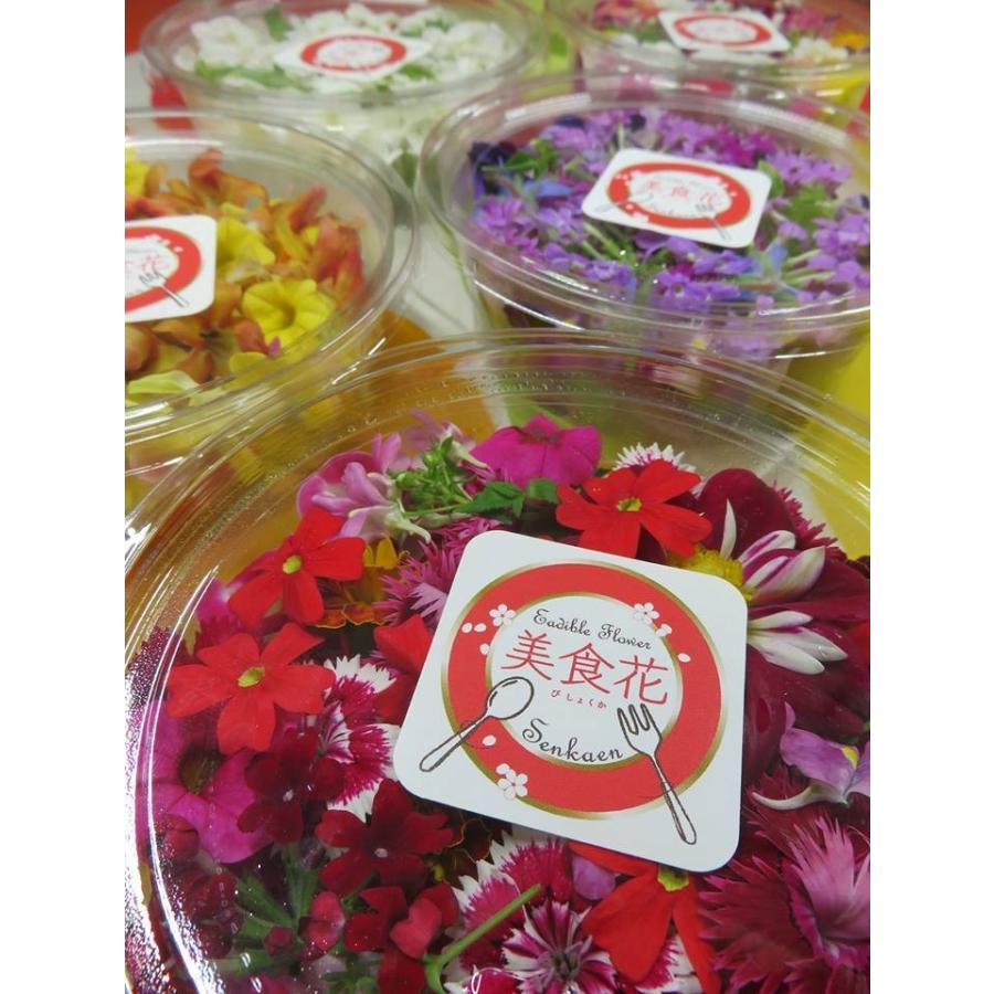 フラワーとグリーンの通販サイト「HitoHana ひとはな 」が切り花の産地直送事業を拡大中。全国の産地と提携し、現在10拠点から季節の花をお届け 予定含む 。今後も続々と提携産地を拡大。2023年3月25日- エキサイトニュース