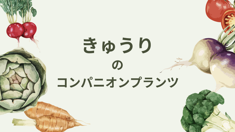 草をキュウリのコンパニオンプランツにする栽培法伝承農法で野菜づくりベジルナ