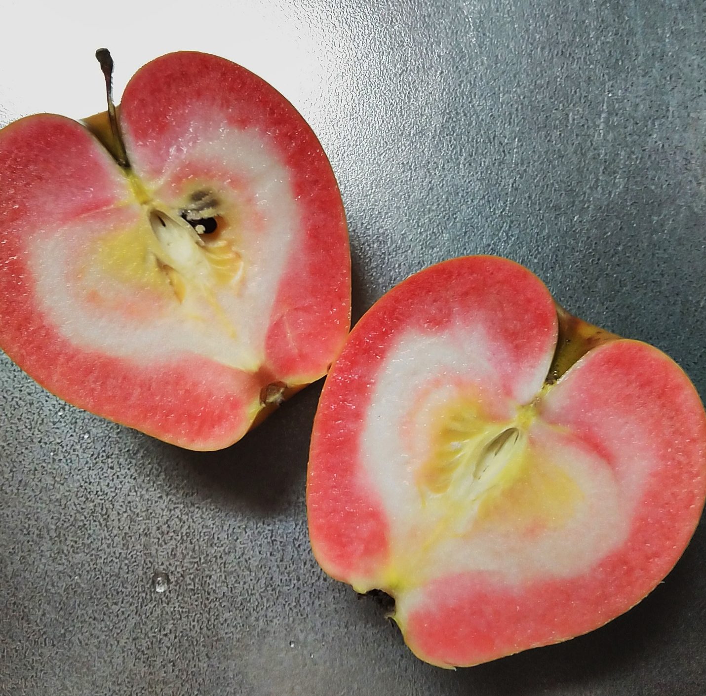 農家直伝 りんご農家が教える新鮮で美味しいりんごの見分け方 蜜入り- ブラベリーファーム太陽の贈り物。本物の赤りんご長野県飯綱町