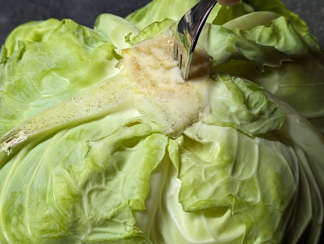 キャベツの保存方法ジモベジ手帖静岡発の野菜宅配サービス ジモベジ の情報メディア