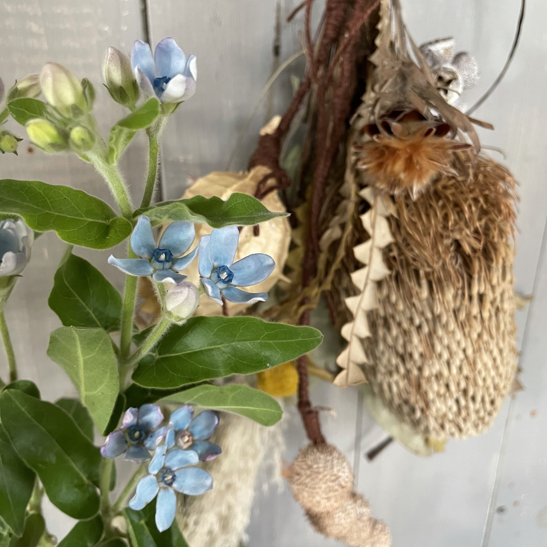 切り花を長く楽しんでももらうために« 花と緑のコンシェルジュ