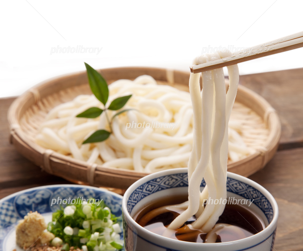 かけうどん 11020002236 の写真・イラスト素材アマナイメージズ