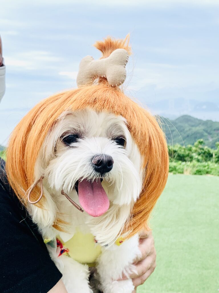 うずの丘 大鳴門橋記念館で大たまねぎのオブジェはインスタ映えスポット日帰り女子たび