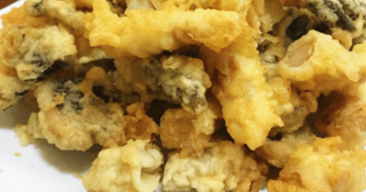 広島で話題のB級グルメ「ホルモン天ぷら」ってどんな味？CooNelNel