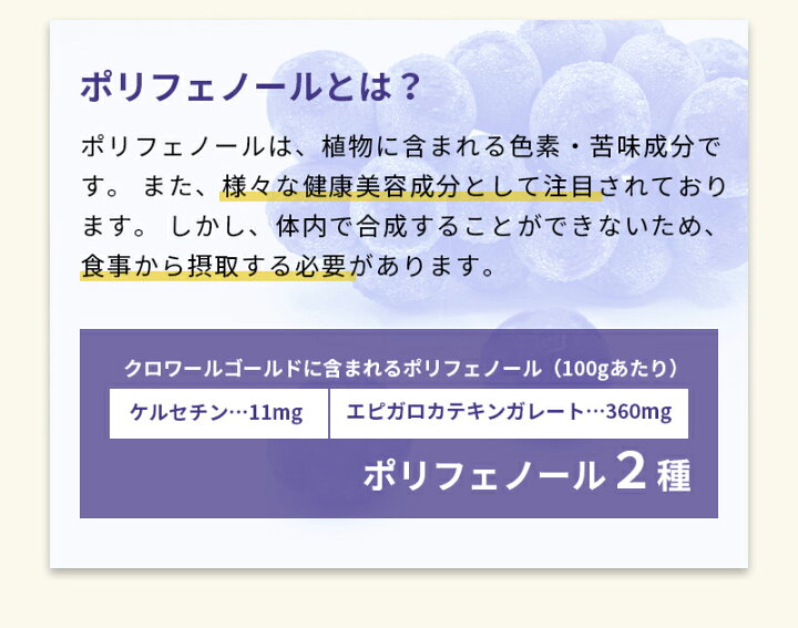 ピュア通信（11/1号） | 大分の整骨院「ピュア整骨院」