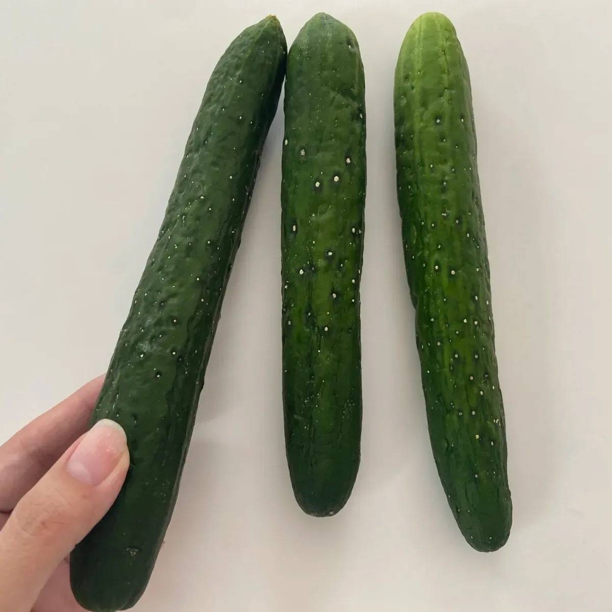 しなしなきゅうりは水と氷で復活！野菜ソムリエの裏技に「これで無駄にしない」「簡単にできる」 - macaroni