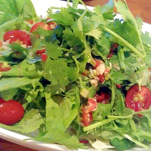 札幌駅エリアの悪魔的パクチーサラダを楽しもう