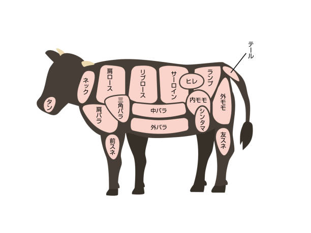 黒毛和牛」のイラスト素材・ベクター画像 - イメージマートimagemart