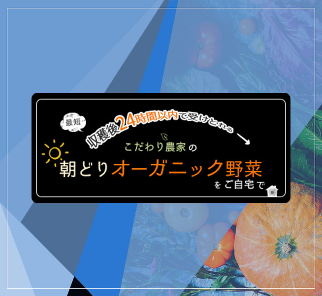 デジタルハリウッドSTUDIO課題 架空オーガニック野菜宅配「スグ食べ」LPデザイン