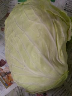 キャベツを日持ちさせるには？丸ごと・カット後の保存方法とコツ - トクバイニュース