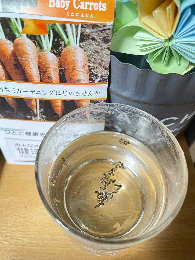 ミニキャロット – 商品別育て方情報 ニチノウのタネ