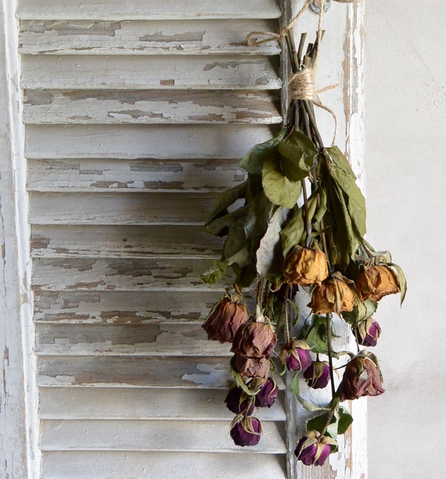 青いバラのドライフラワー - はなめも。~花屋のメモ帳~