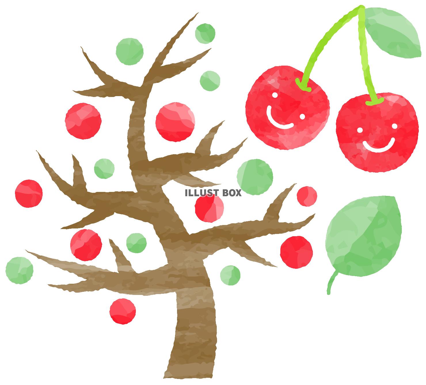 リアルなさくらんぼのイラストのイラスト素材・ベクター Image 182208617