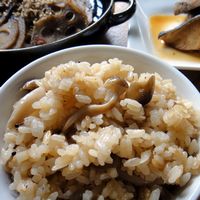 炊飯器で、うなぎご飯。簡単過ぎだけど料亭風な上品な味『うなぎ炊き込みご飯』食で楽しむ魔女♪野菜たっぷり彩りレシピ帳