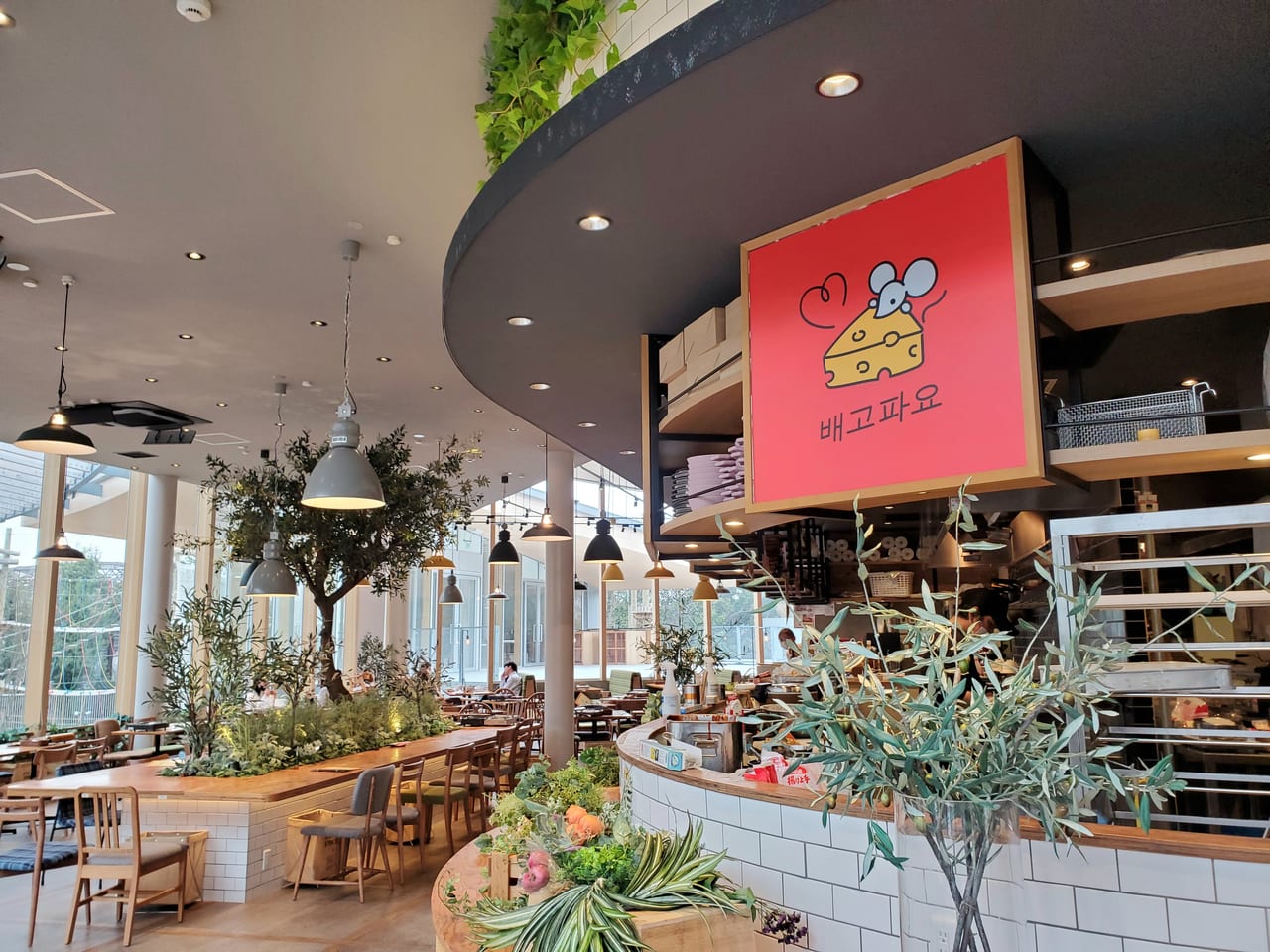 こんにちは！ まるふじカフェ天王寺北口店です🙌🏻 まるふじは本日〜夜カフェでもかき氷の販売を開始します🤭夜カフェで販売のかき氷は昼メニューより小さめサイズ！ 食べ切りサイズとなっておりますのでちょっとサッパリしたい！ちょっと冷たいものが食べたいなどと言っ