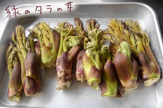 春色メニュー♪たらの芽のたらこチーズ焼きクラシル