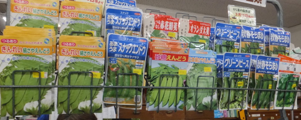 エンドウイラスト家庭菜園調べるタキイ種苗株式会社