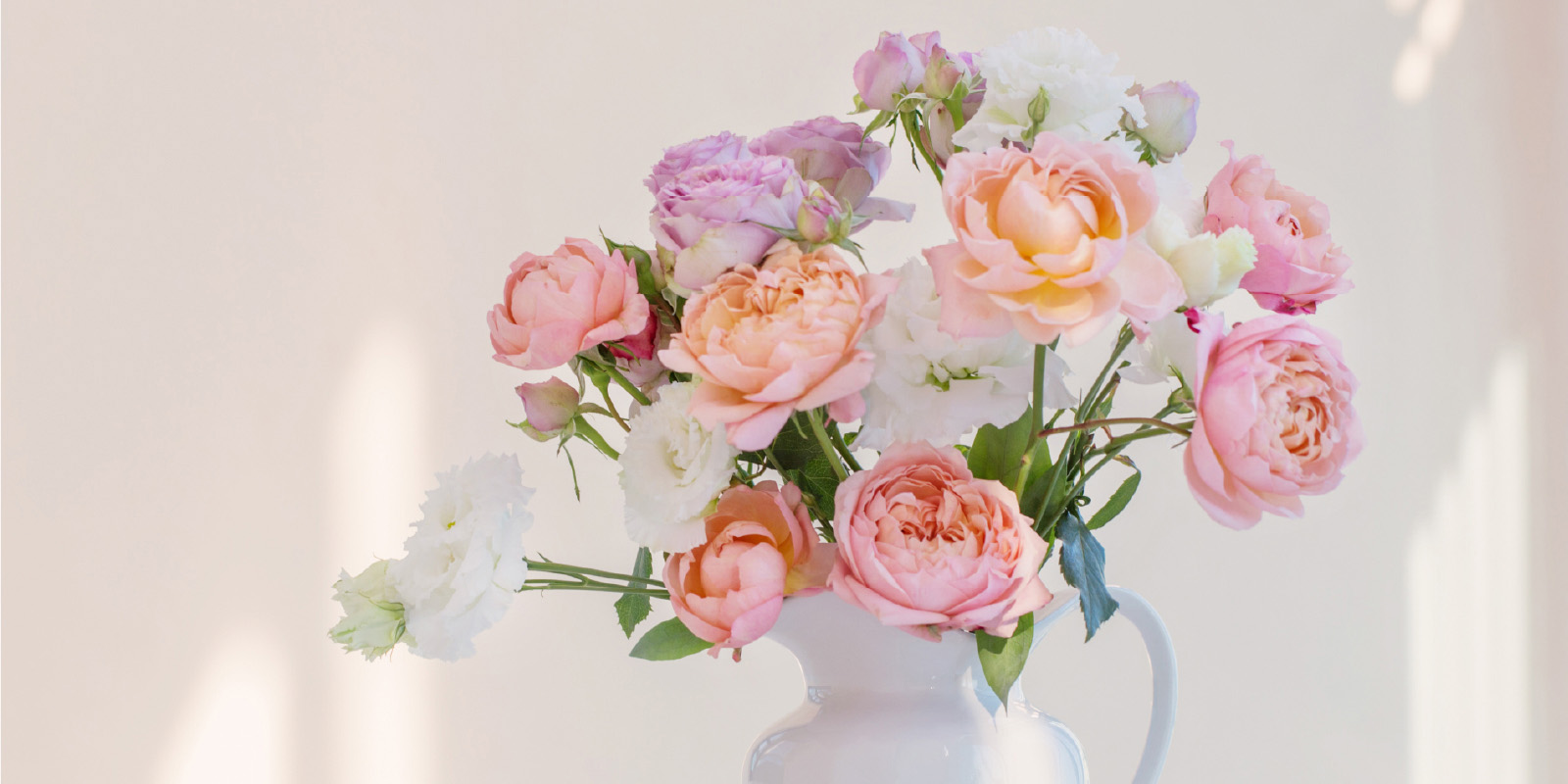 みんなが見つけた おもしろ情報 : 春に向けて・お花はいかがですか？ フラワーマーケット 花一番