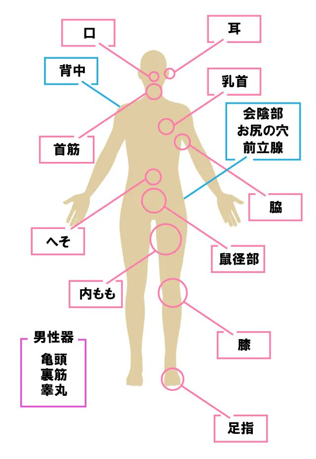 女性の性感帯とは？ 感じやすい場所を知ってセルフプレジャーやセックスをもっと楽しく ｜